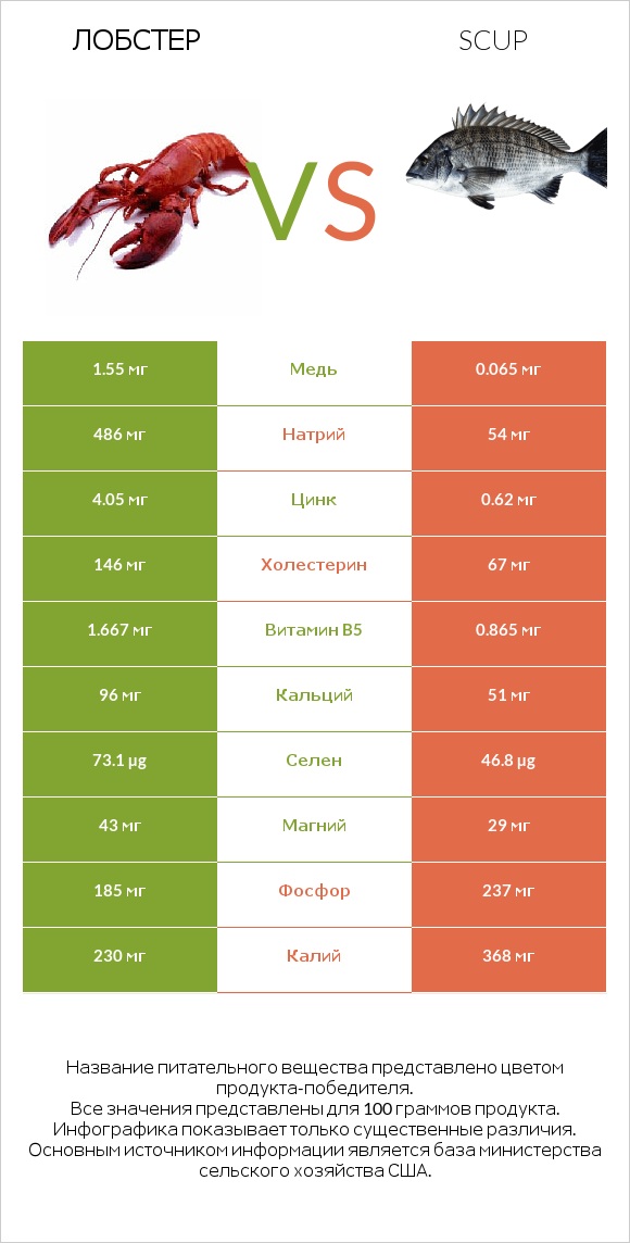 Лобстер vs Scup infographic