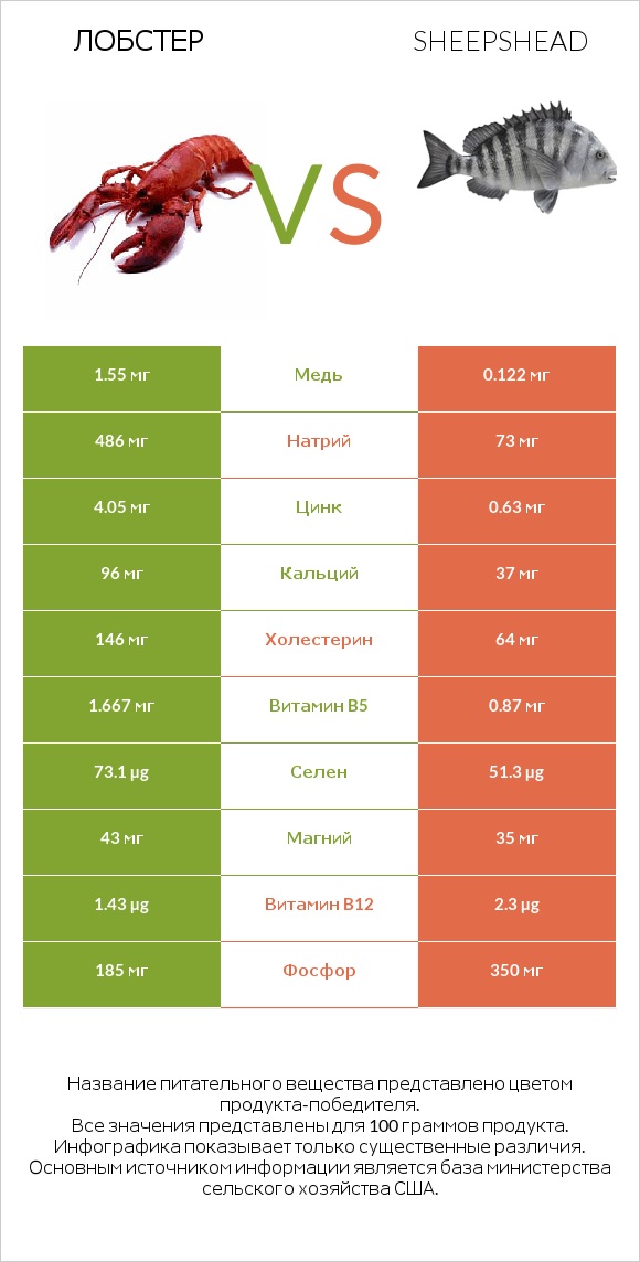 Лобстер vs Sheepshead infographic