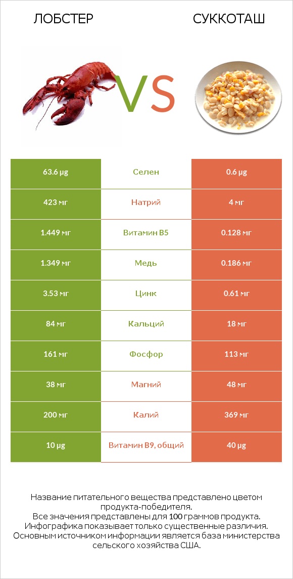 Лобстер vs Суккоташ infographic