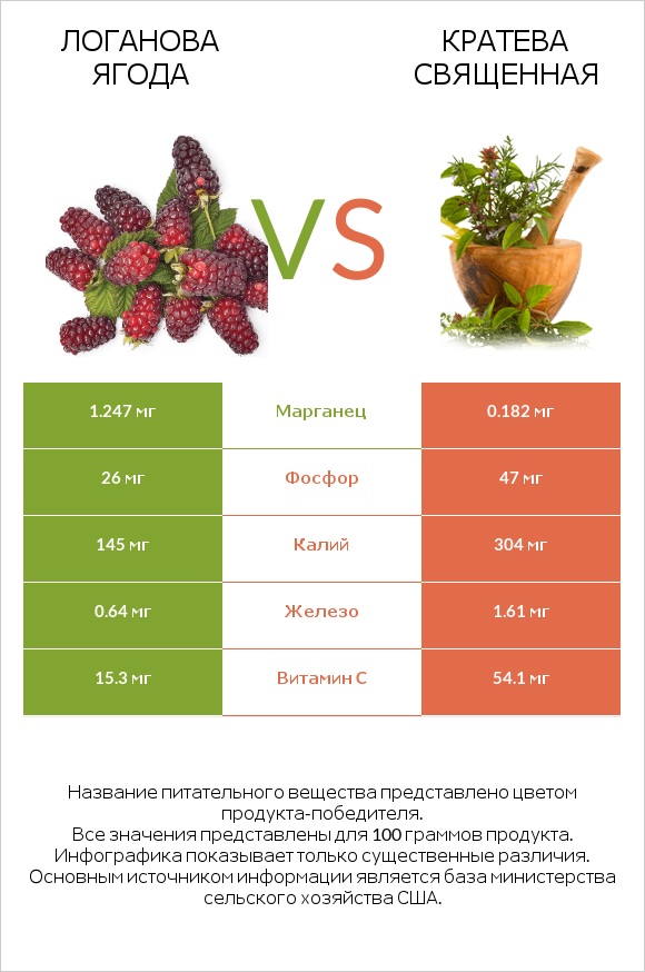 Логанова ягода vs Кратева священная infographic