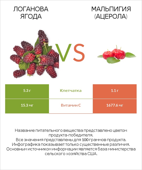 Логанова ягода vs Мальпигия (ацерола) infographic