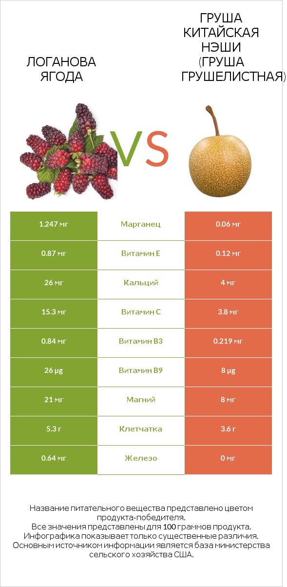 Логанова ягода vs Груша китайская Нэши (груша Грушелистная) infographic