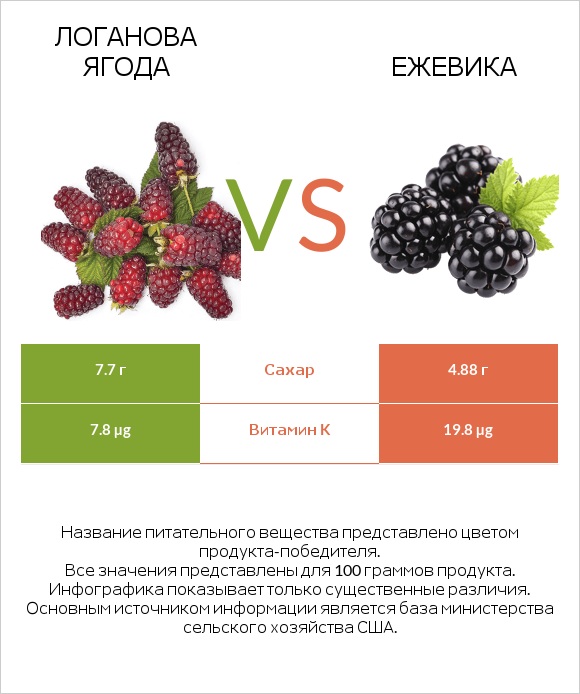 Логанова ягода vs Ежевика infographic