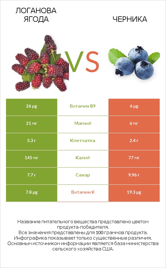 Логанова ягода vs Черника infographic