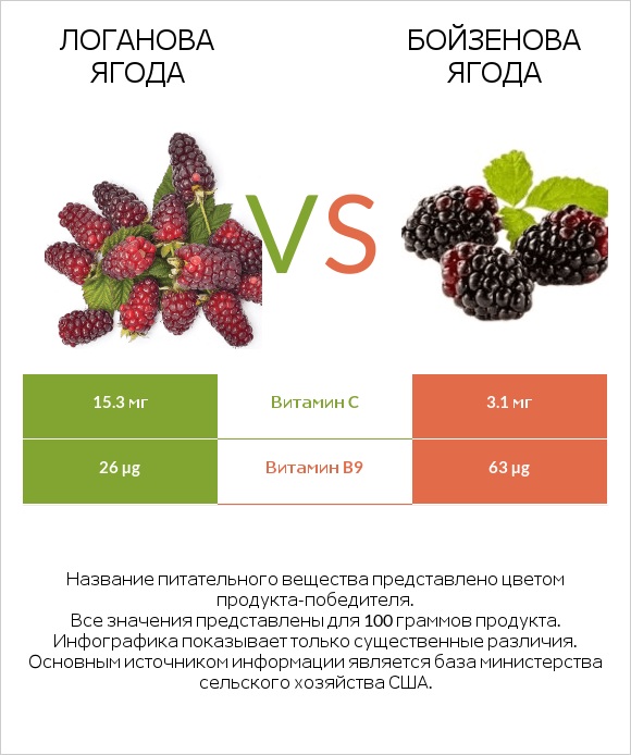 Логанова ягода vs Бойзенова ягода infographic