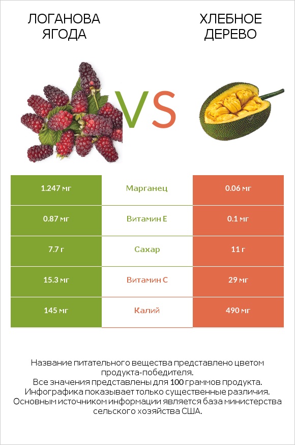 Логанова ягода vs Хлебное дерево infographic