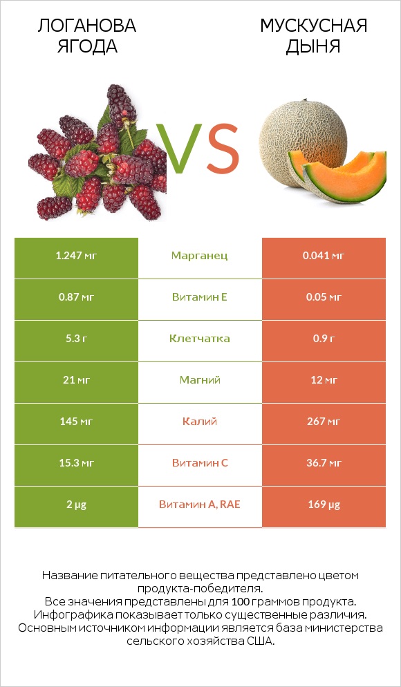 Логанова ягода vs Мускусная дыня infographic