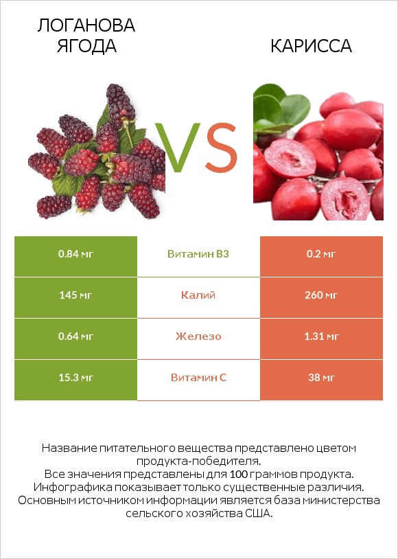 Логанова ягода vs Карисса infographic