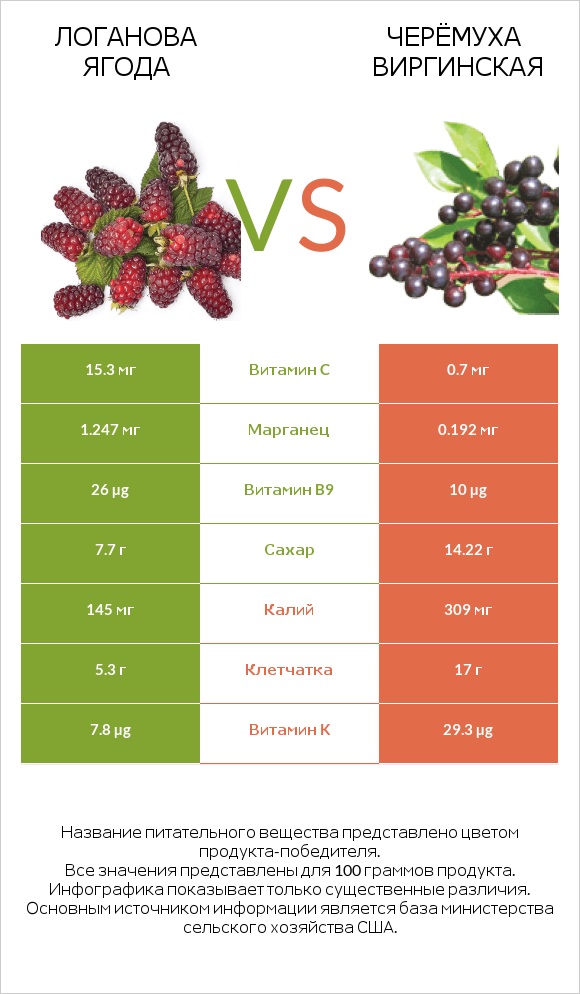 Логанова ягода vs Черёмуха виргинская infographic