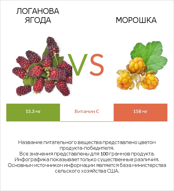 Логанова ягода vs Морошка infographic