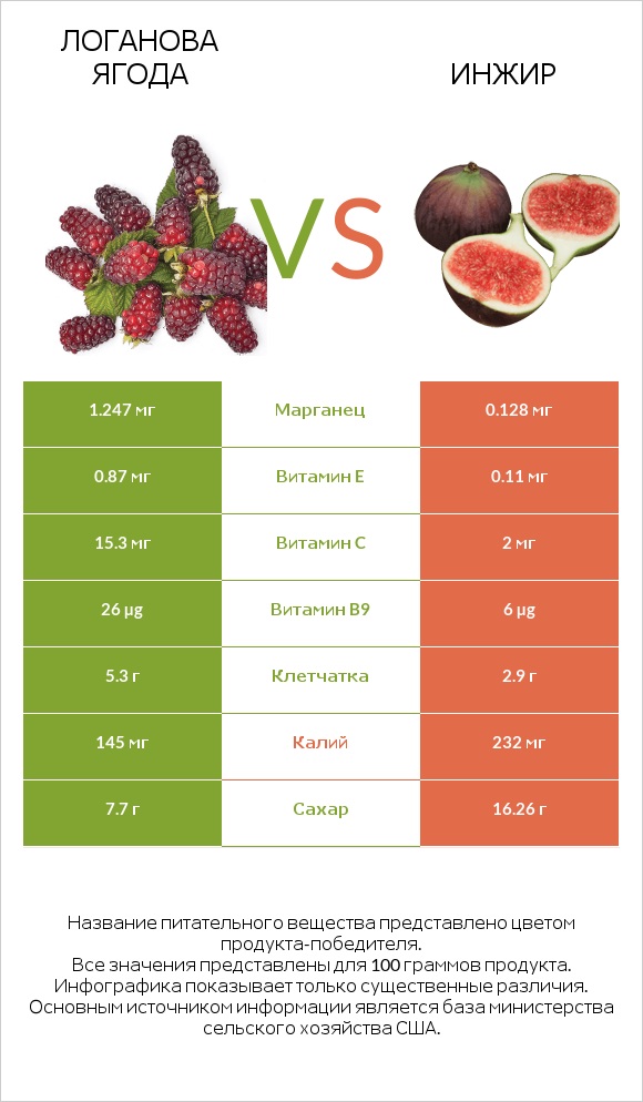 Логанова ягода vs Инжир infographic