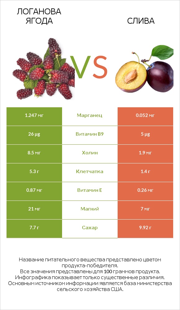 Логанова ягода vs Слива infographic