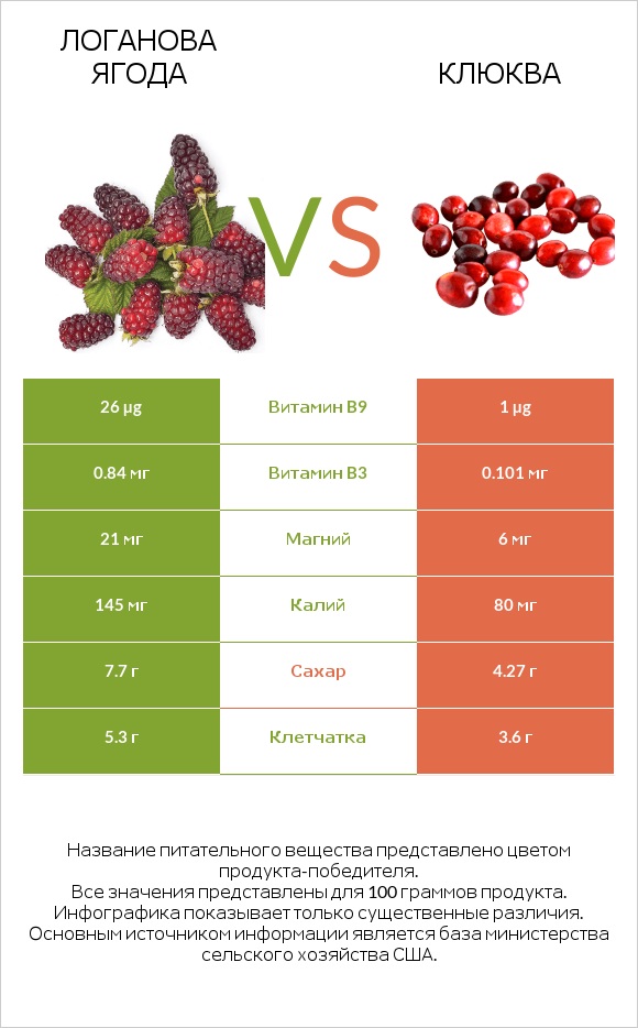 Логанова ягода vs Клюква infographic