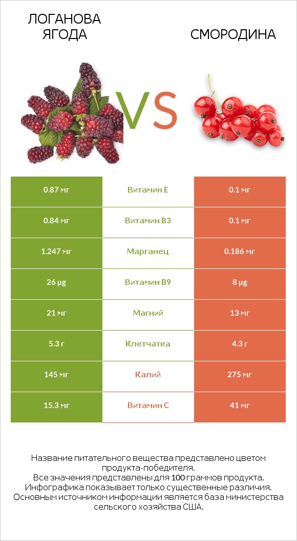 Логанова ягода vs Смородина infographic