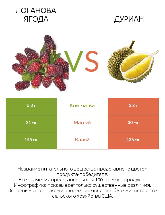 Логанова ягода vs Дуриан infographic