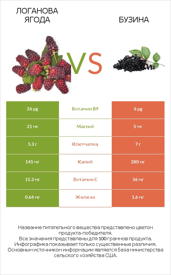 Логанова ягода vs Бузина infographic