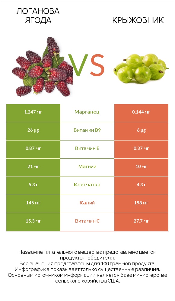 Логанова ягода vs Крыжовник infographic