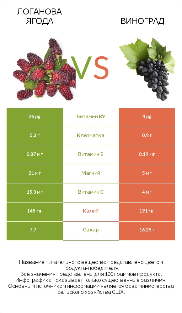 Логанова ягода vs Виноград infographic