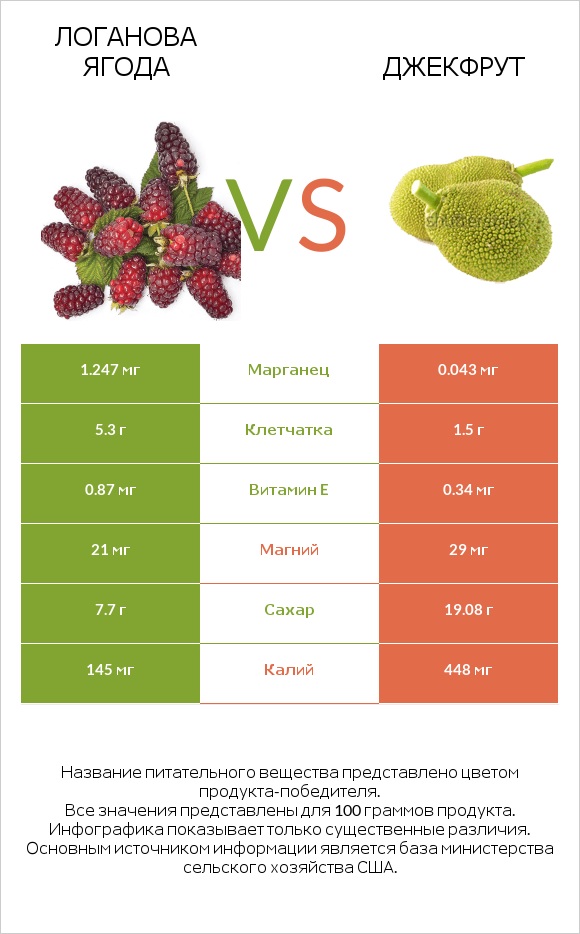 Логанова ягода vs Джекфрут infographic