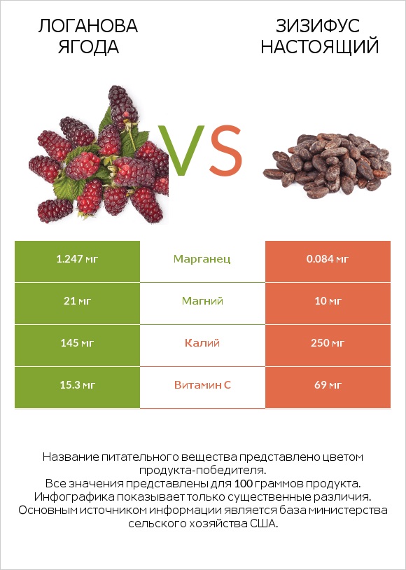 Логанова ягода vs Зизифус настоящий infographic