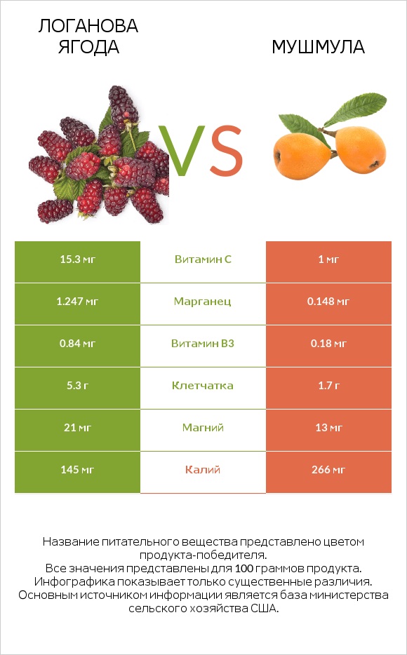 Логанова ягода vs Мушмула infographic