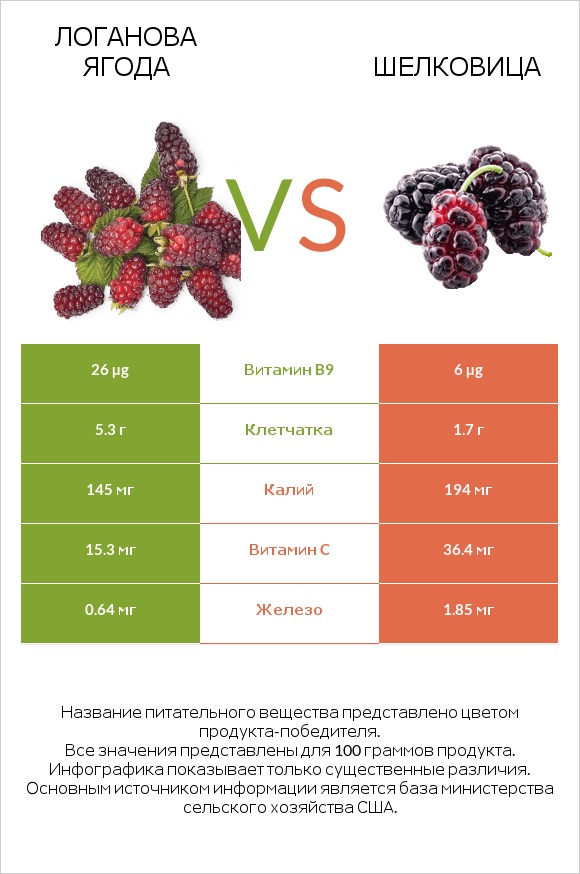 Логанова ягода vs Шелковица infographic