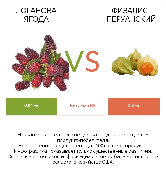 Логанова ягода vs Физалис перуанский infographic