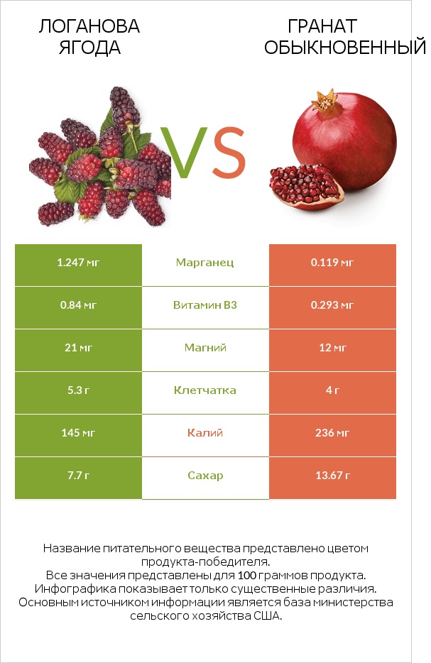 Логанова ягода vs Гранат обыкновенный infographic