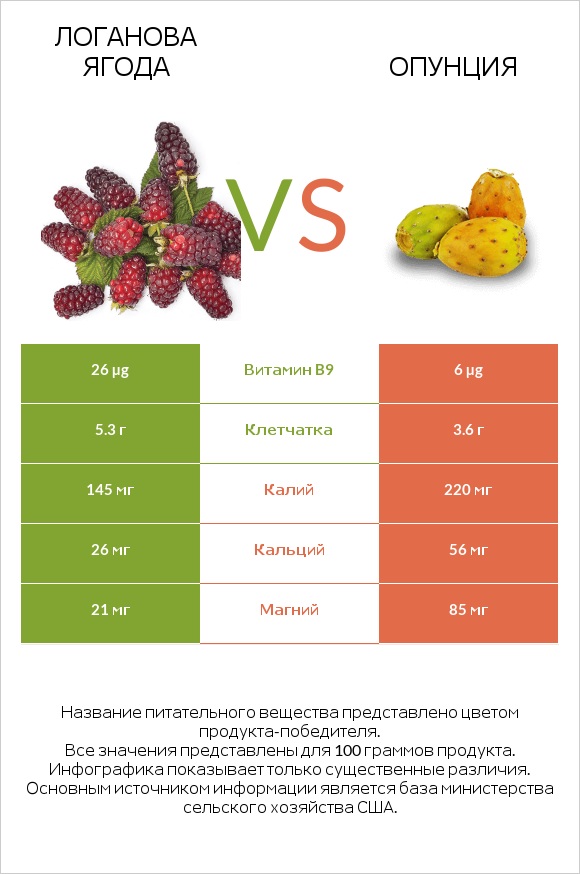 Логанова ягода vs Опунция infographic