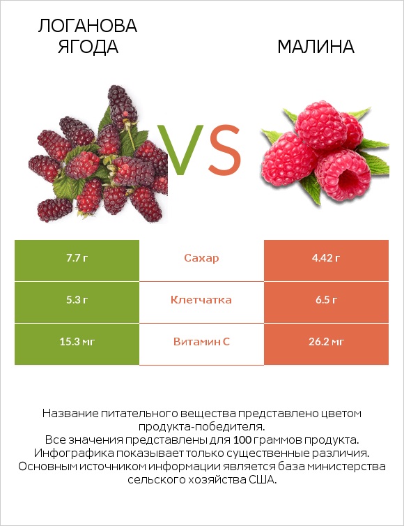 Логанова ягода vs Малина infographic