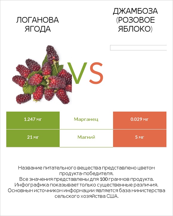 Логанова ягода vs Джамбоза (розовое яблоко) infographic