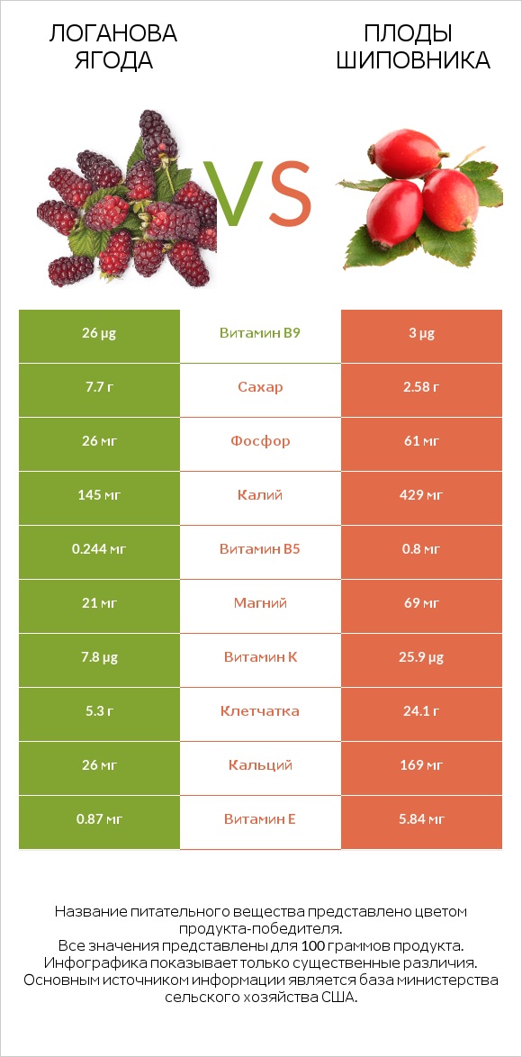 Логанова ягода vs Плоды шиповника infographic