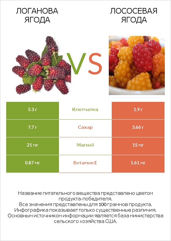 Логанова ягода vs Лососевая ягода infographic