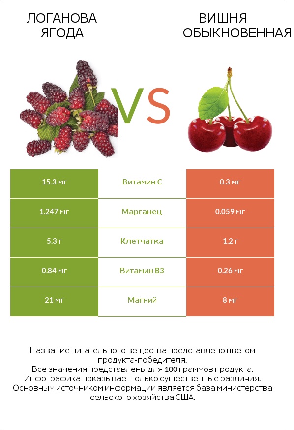 Логанова ягода vs Вишня обыкновенная infographic