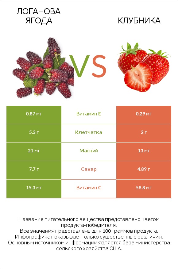 Логанова ягода vs Клубника infographic