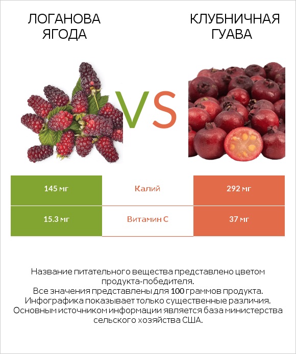 Логанова ягода vs Клубничная гуава infographic