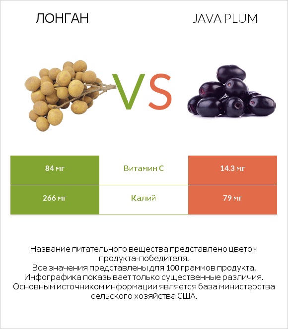 Лонган vs Java plum infographic