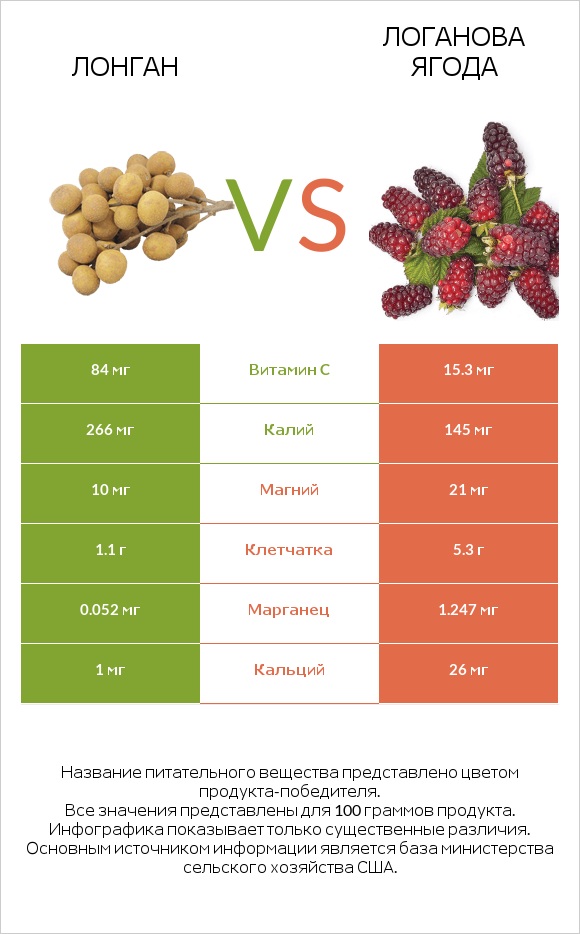 Лонган vs Логанова ягода infographic