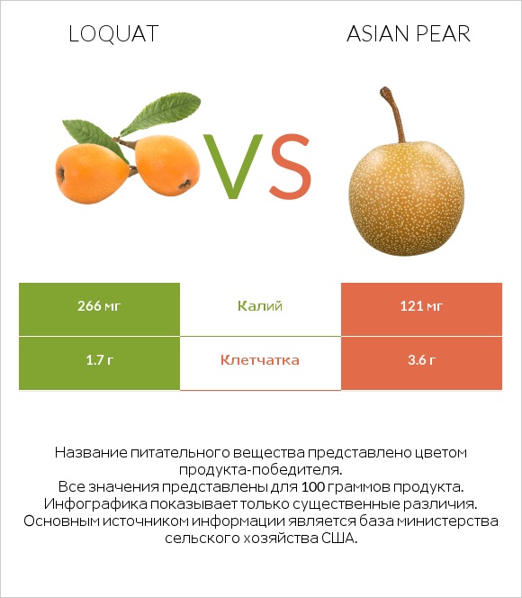 Loquat vs Asian pear infographic