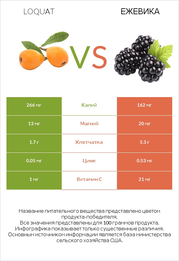 Loquat vs Ежевика infographic