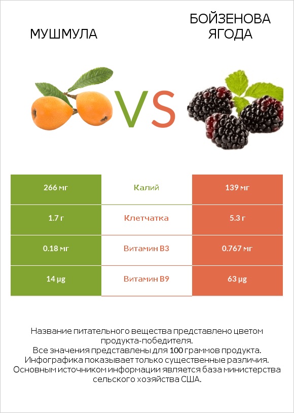 Мушмула vs Бойзенова ягода infographic