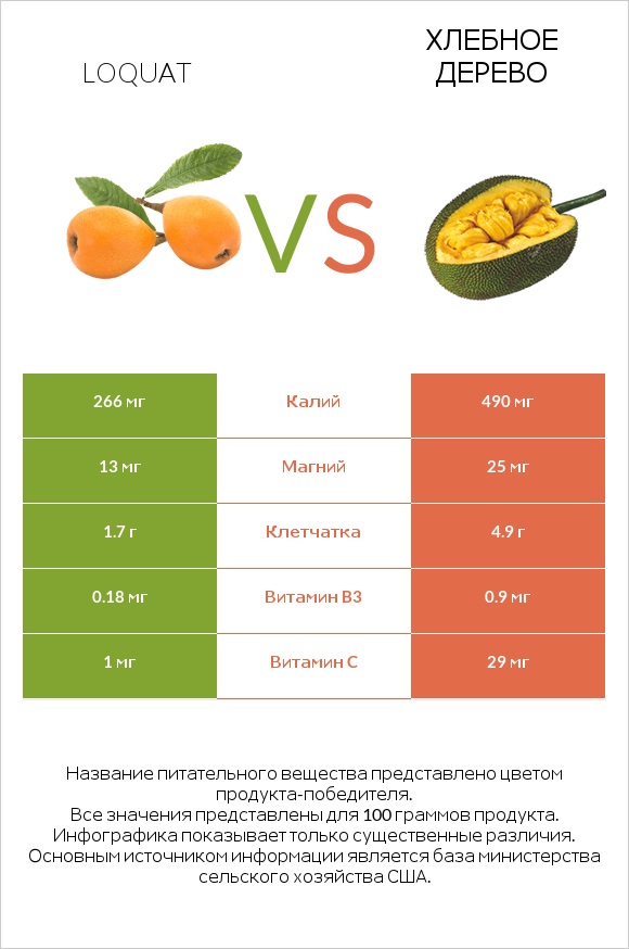 Loquat vs Хлебное дерево infographic