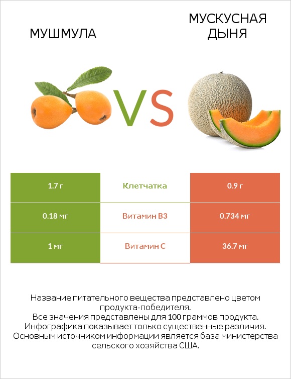 Мушмула vs Мускусная дыня infographic