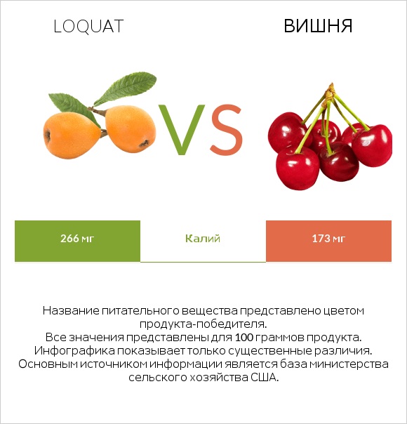 Loquat vs Вишня infographic