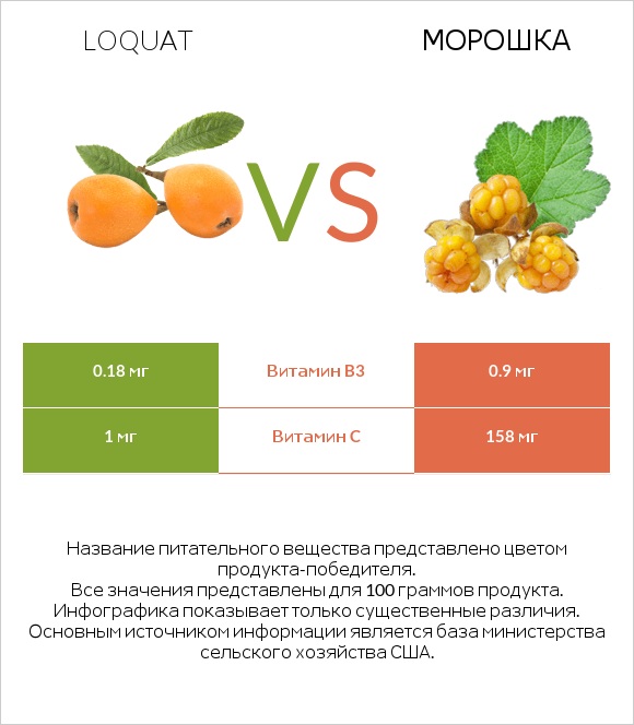 Loquat vs Морошка infographic
