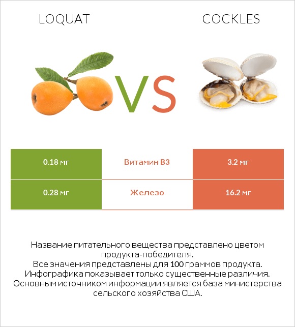 Loquat vs Cockles infographic