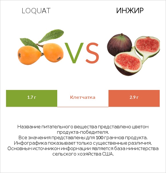 Loquat vs Инжир infographic