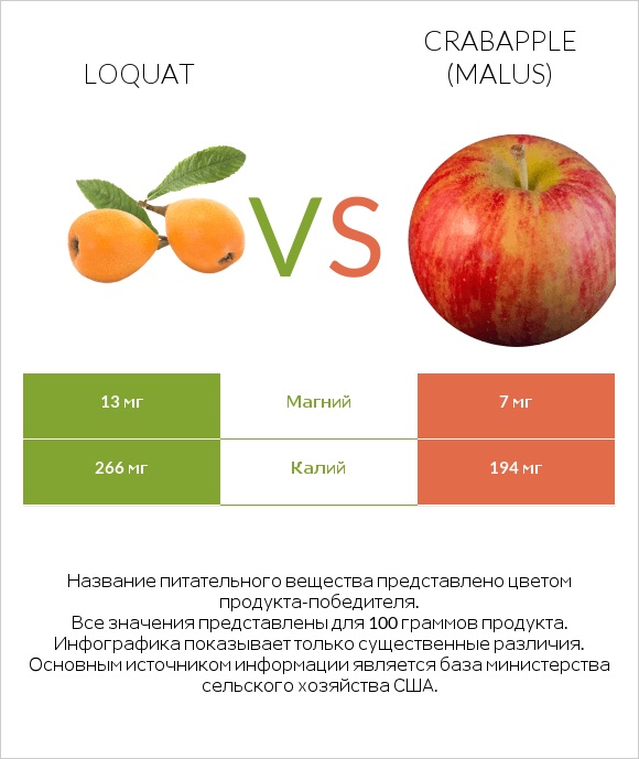 Loquat vs Crabapple (Malus) infographic