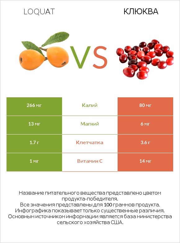 Loquat vs Клюква infographic