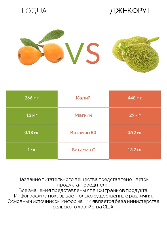 Loquat vs Джекфрут infographic